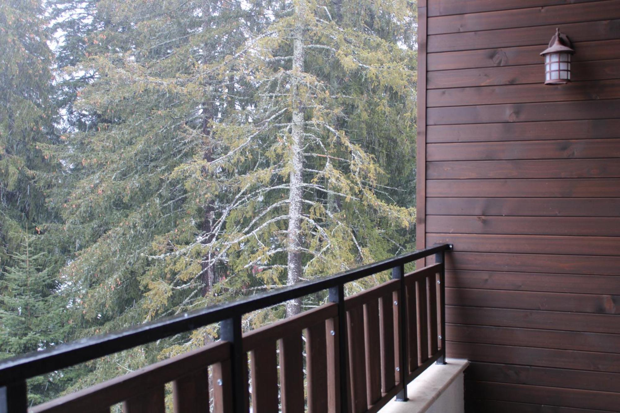 Mountain Studio Asp E63 Borovets Gardens Eksteriør billede