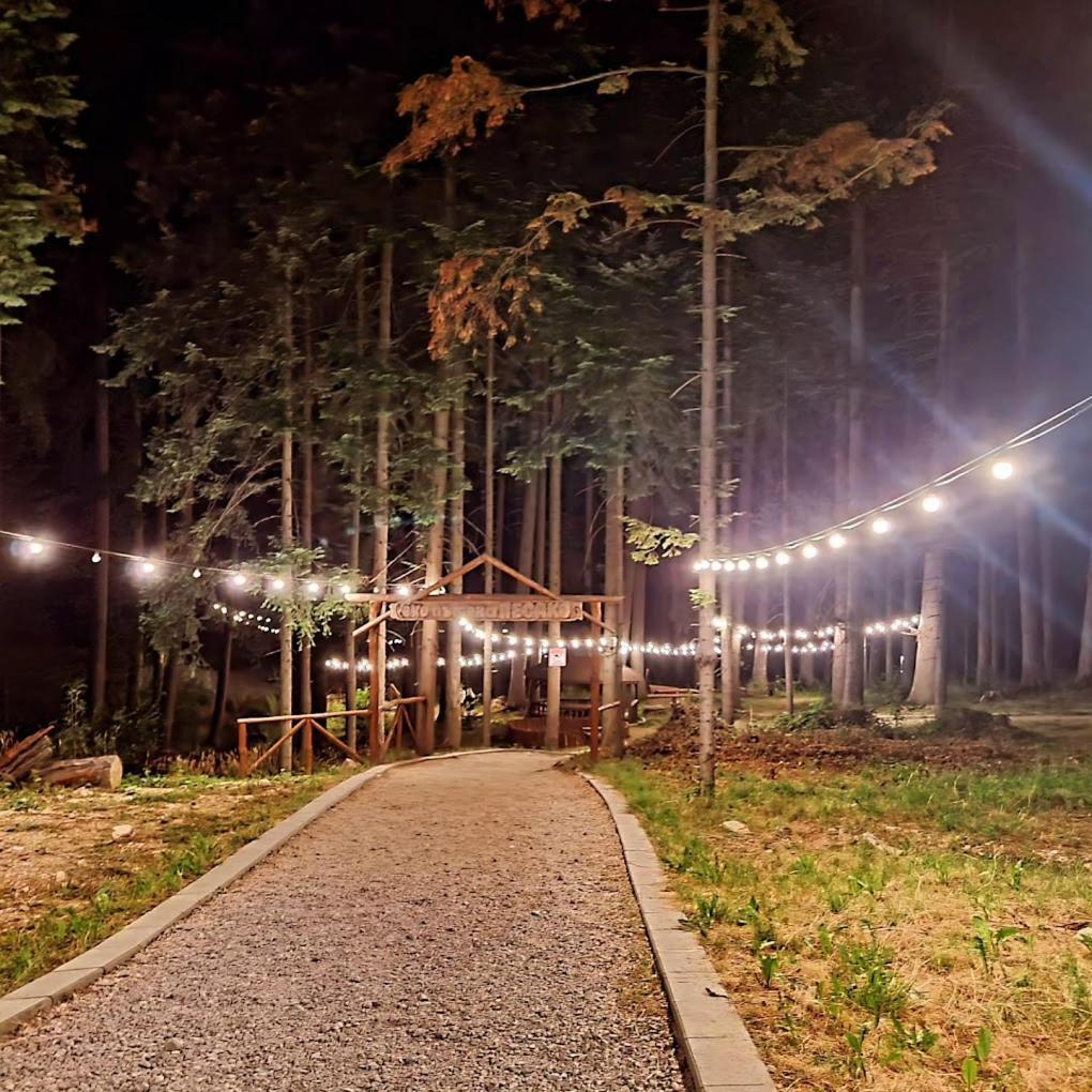 Mountain Studio Asp E63 Borovets Gardens Eksteriør billede