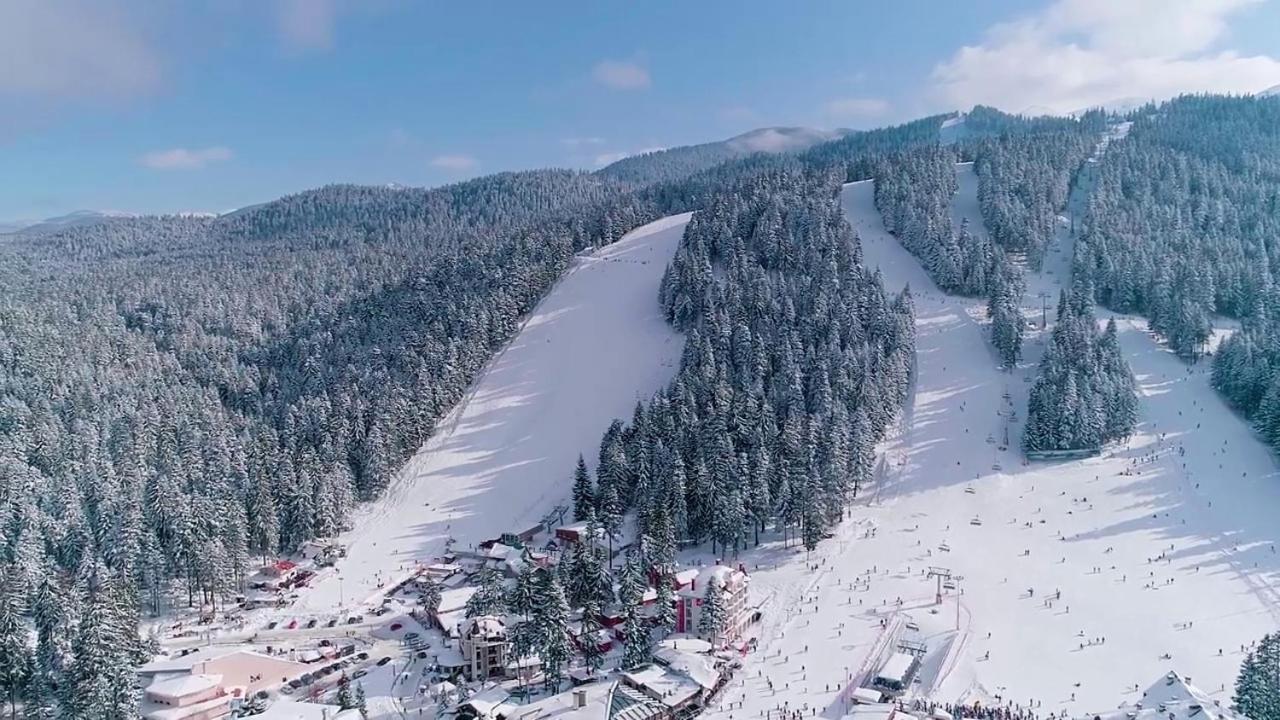 Mountain Studio Asp E63 Borovets Gardens Eksteriør billede